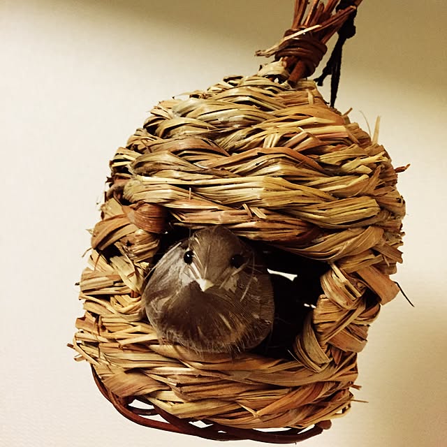 maYoの-WILD BIRD ROOSTING NEST/鳥の巣/PUEBCO/プエブコ/【あす楽対応_東北】【あす楽対応_関東】の家具・インテリア写真