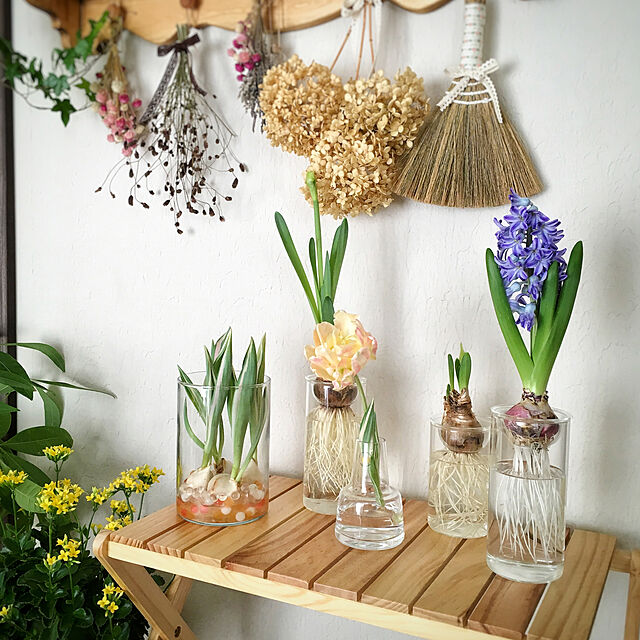 Michiの-BULB VASE LONG バルブベースロングメール便不可 球根栽培 ガラス 花瓶の家具・インテリア写真