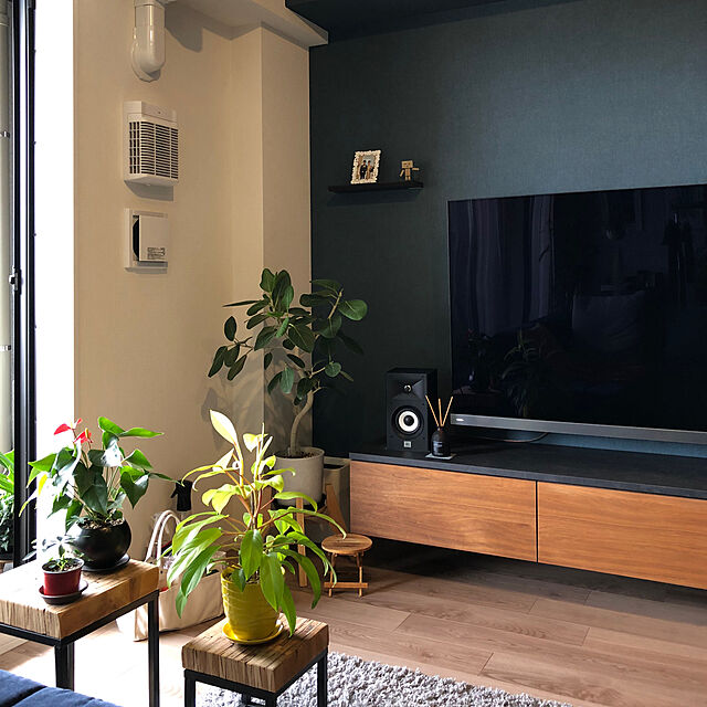 kumaの-永大産業 ディスプレイシェルフ ストレートタイプ フラットスタイル スキスムTカラー W600 LTS-DPSF061 EIDAI 受注生産品の家具・インテリア写真