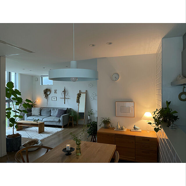 hanatomidorinoheyaのニトリ-ペットベッド Ｍ(Nホテル シカク GY M) の家具・インテリア写真