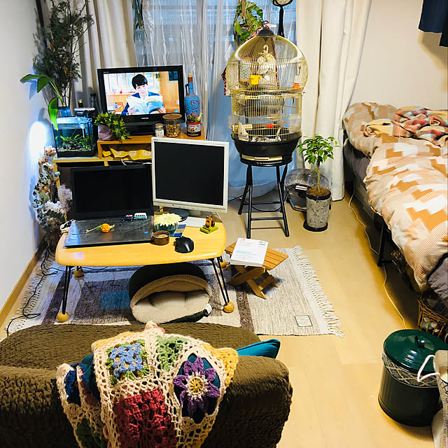 parrotのニトリ-棚・コンセント付きシングルパイプベッドフレーム(バジーナC BK) の家具・インテリア写真