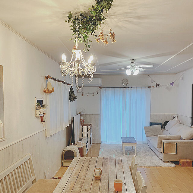 hinaの-花王 ニャンとも清潔 トイレセット ベージュ ド−ムタイプ 1クミの家具・インテリア写真