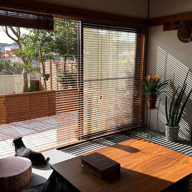 mugijunの東谷-Marus（マルス） こたつテーブル 長方形 幅105cmタイプ m11733の家具・インテリア写真