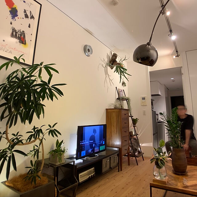SUZUQNETのBARREL-【植物育成LED SUN-20W-W】の家具・インテリア写真