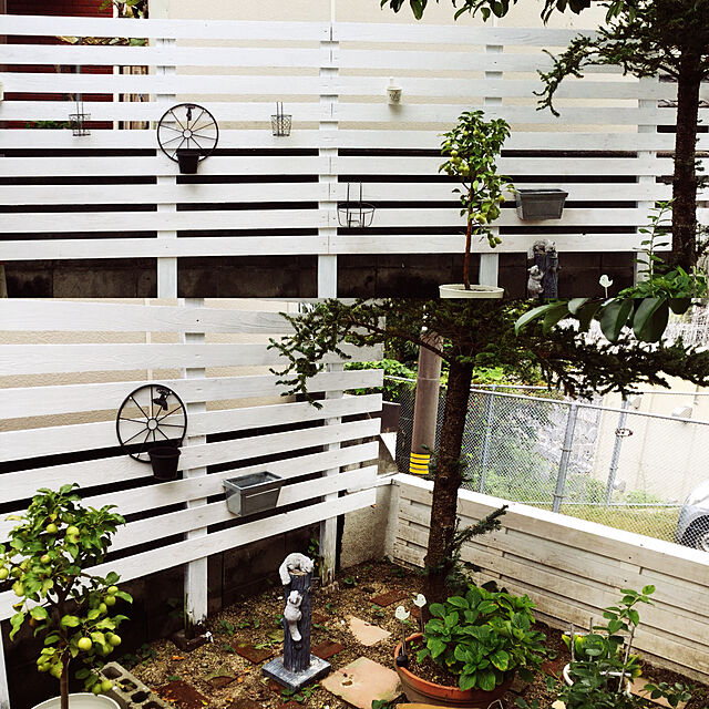 kiiroitoriのねじビス ドットコム-コンクリートビス 皿頭 鉄 4×25 20本入 日本製の家具・インテリア写真