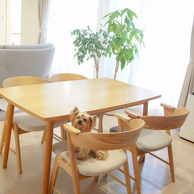 KAZUMAの日販アイ・ピー・エス-MOMO NATURAL INTERIOR STYLING BOOK VOL.9.5の家具・インテリア写真