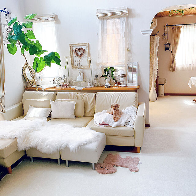 Momoの-オカ ファンディットアニマルトイプードルの家具・インテリア写真