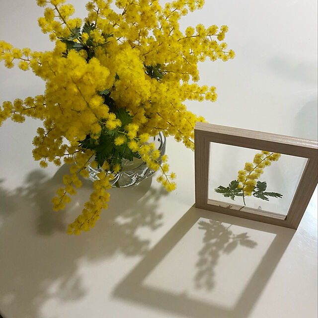 Mitsuのイケア-VILJESTARK ヴィリエスタルク 花瓶の家具・インテリア写真
