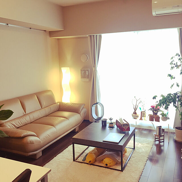 KeiChangの無印良品-【ネット限定】レチューザに植えたアルテシマの家具・インテリア写真