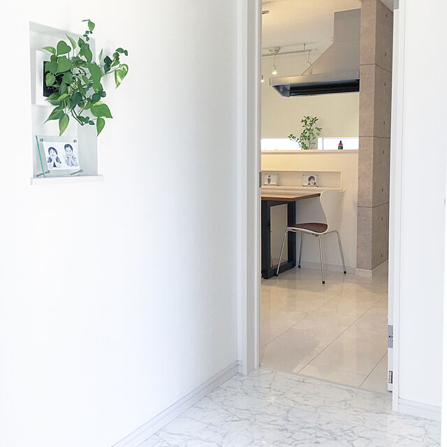 syokoの無印良品-壁にかけられる観葉植物 １６×１６ｃｍの家具・インテリア写真