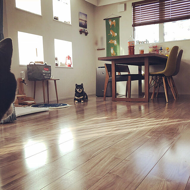 renの-ドギーマン　ウッディーコンパクトダイナー　犬用・猫用食器台　トレー　関東当日便の家具・インテリア写真