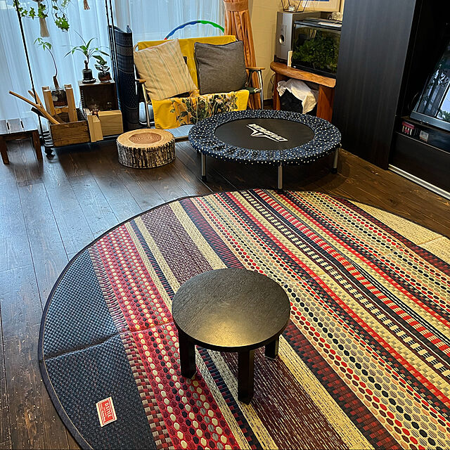 Miyabikoのイケヒコ・コーポレーション-い草廊下敷き　ＤＸランクス　【イケヒコ】の家具・インテリア写真