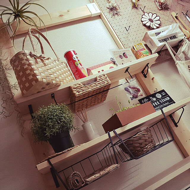 akihimeのイケア-IKEA ( イケア ) FEJKA 人工観葉植物, ハーブ, アソートプランツ, 写真左 (10cm) (501.919.93)の家具・インテリア写真