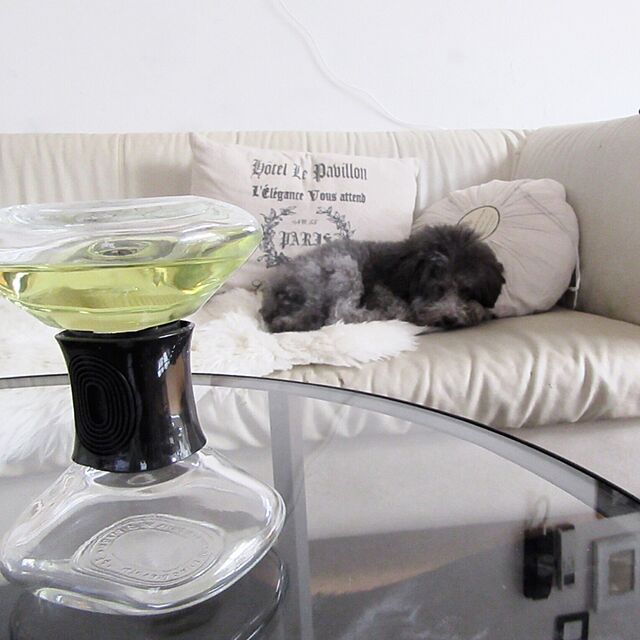 Mikaの-ディプティック[diptyque]砂時計型ディフューザー「フィギエ」75ml[並行輸入品]の家具・インテリア写真