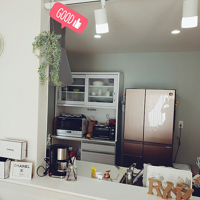 ryouの-インテリア クライミングプランツ カップ シダの家具・インテリア写真