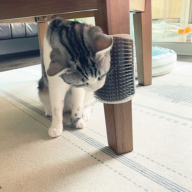 ドギーマンハヤシ 株式会社 モダンルーム 毛づくろいブラシ 猫 ブラシ ねこ 
