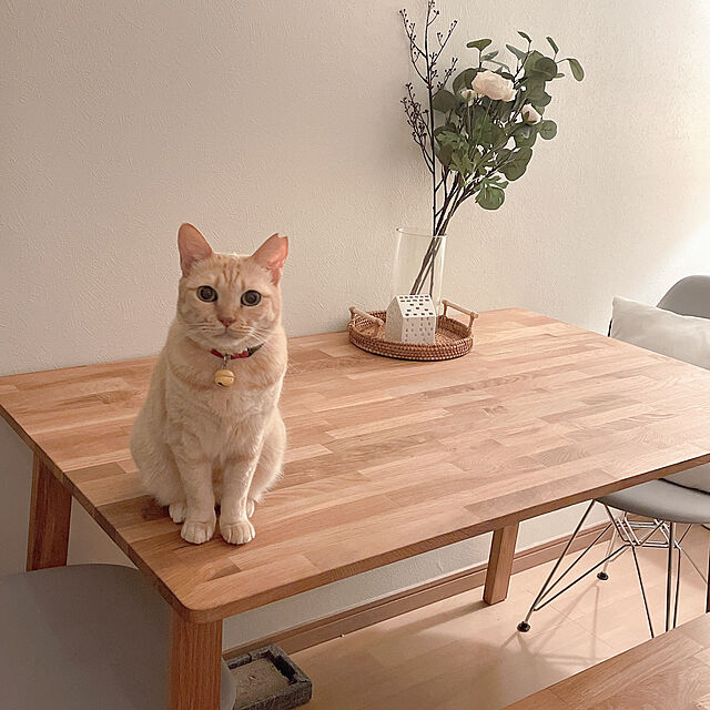 aykoの三吉-ダイニングテーブル 4人用 木製 ラバーウッド W120×D75(cm) 2〜4名用 長方形 ナチュラル ブラウン 単品 MTS-060の家具・インテリア写真