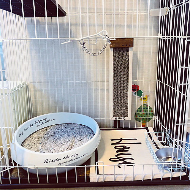 mayumiのアイリスオーヤマ-猫トイレ 大型 猫 トイレ ペットトイレ ネコのトイレ 本体 トレー 丸形 トイレトレーニング シンプル スコップ付き おしゃれ P-NE480 アイリスオーヤマの家具・インテリア写真