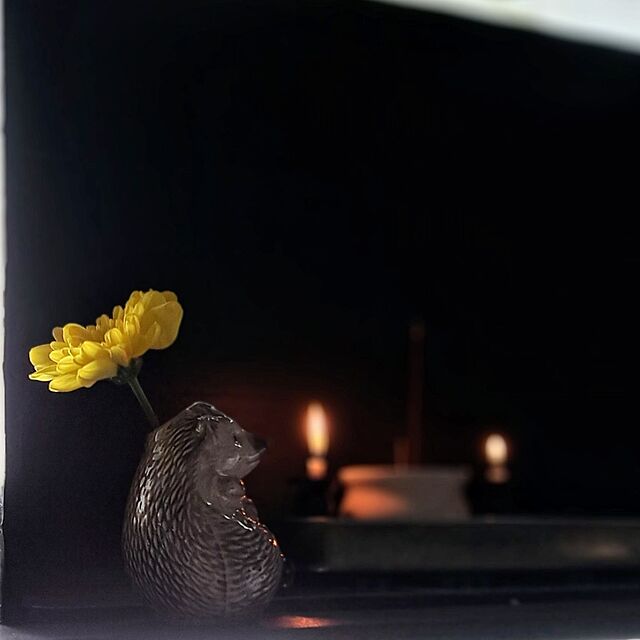 noaの-ミニ花瓶 アニマルベース ハリネズミ ヘッジホッグ F-04-0059 グローバルアロー 一輪挿しの家具・インテリア写真