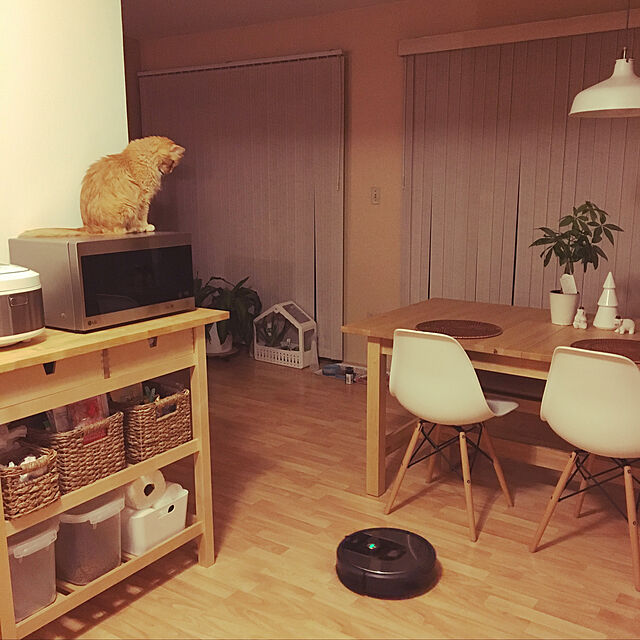 Keiのイケア-IKEA PS　2014　温室　ホワイト　20257594の家具・インテリア写真
