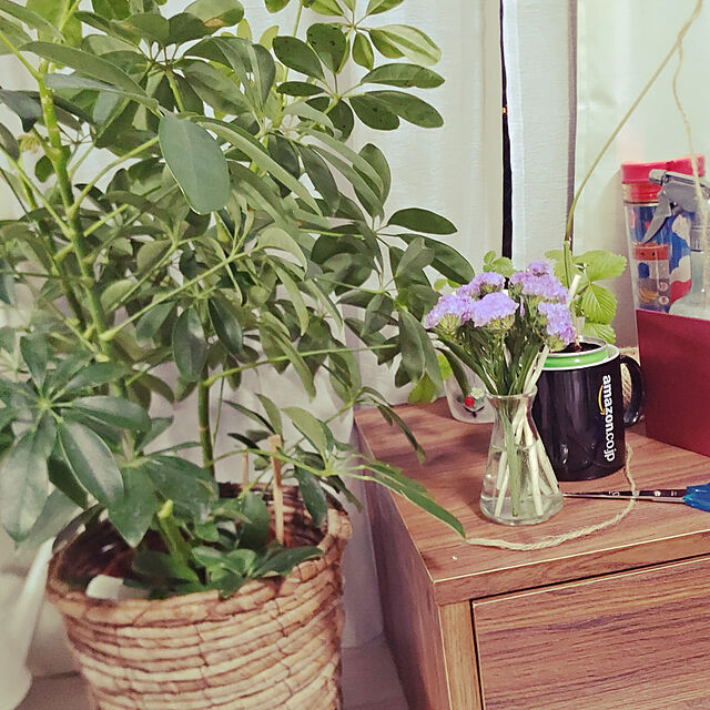 oden_no_zukanの名古屋工芸-【Amazon.co.jp限定】Amazonオリジナルマグカップ黒の家具・インテリア写真