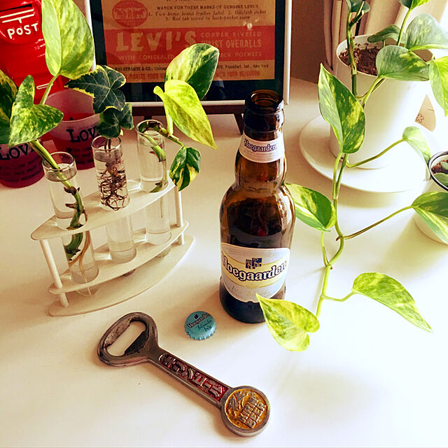 yuri.favoriの-ヒューガルデン ホワイトビール 瓶 ビール 330mlの家具・インテリア写真