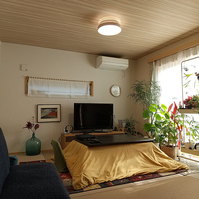 chocococoaのニトリ-カフェカーテン(ホワイト2 150X45) の家具・インテリア写真