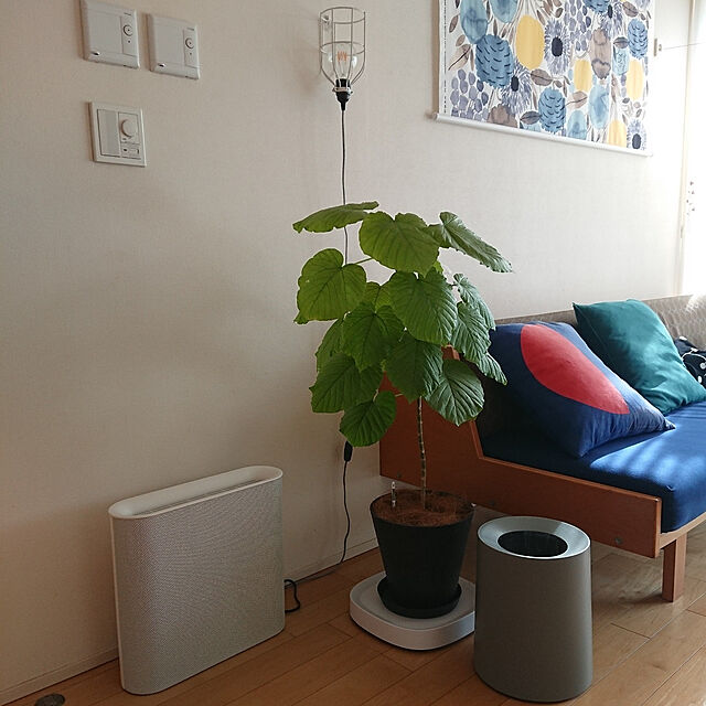 Rのideaco-TUBELOR HOMME 11.4Lの家具・インテリア写真