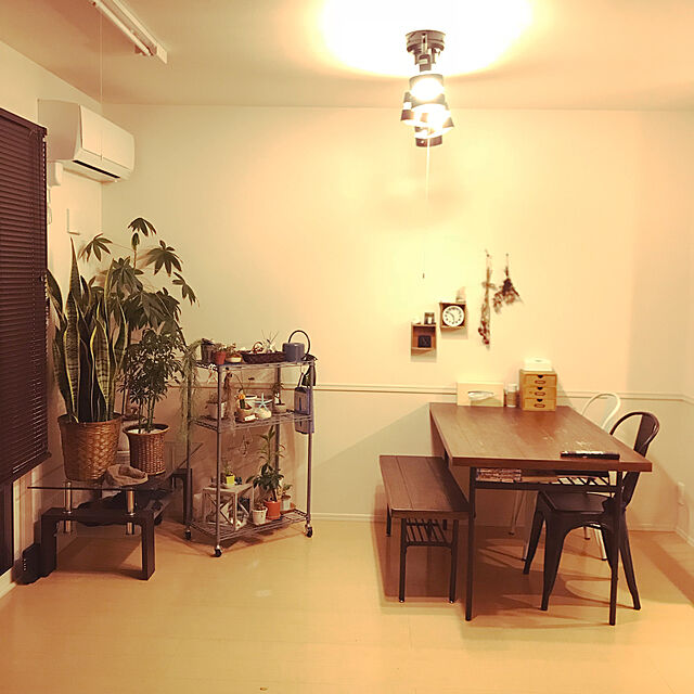 yukikoのニトリ-木製ブラインド(ヴェントDBR 60x138) の家具・インテリア写真