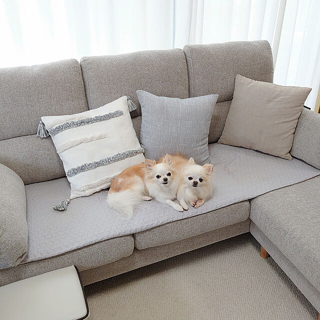 macoのニトリ-クッションカバー(ツイード2 GY) の家具・インテリア写真