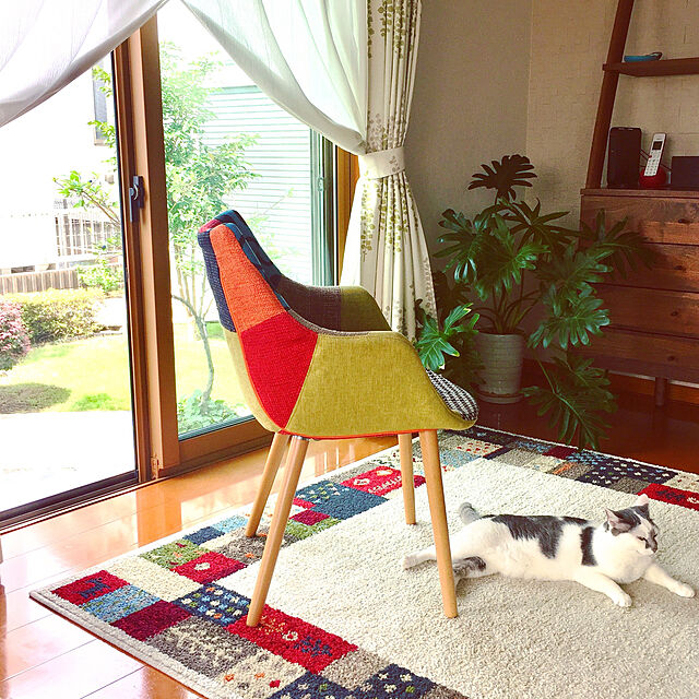 Atsukoのニトリ-ウィルトン織りラグ(Nカルメン IV 133X190) の家具・インテリア写真