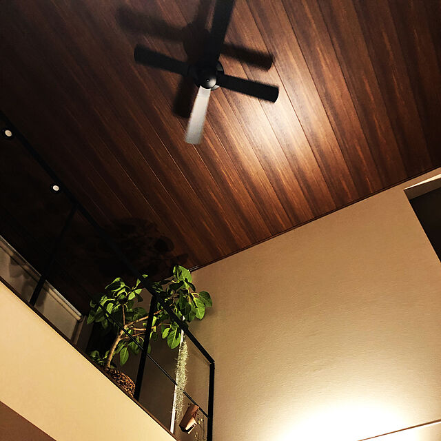T_Sumirin_Houseの-即日発送 長期保証 吹き抜け 傾斜天井 コイズミ シーリングファン KBC-199の家具・インテリア写真