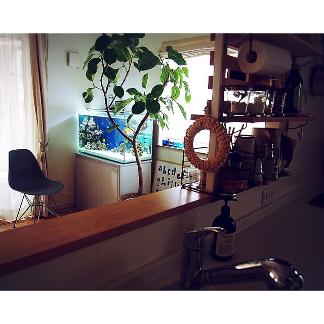 emimekkoの-【大型】コトブキ工芸 プロスタイル 900L ホワイト 『水槽台』の家具・インテリア写真