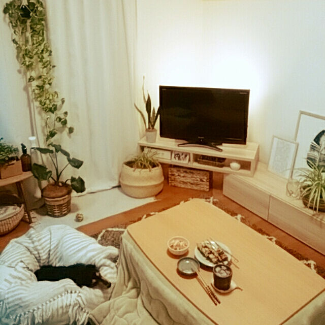 reonの-salut!(サリュ) ヒヤシンススクエアバスケット Lの家具・インテリア写真