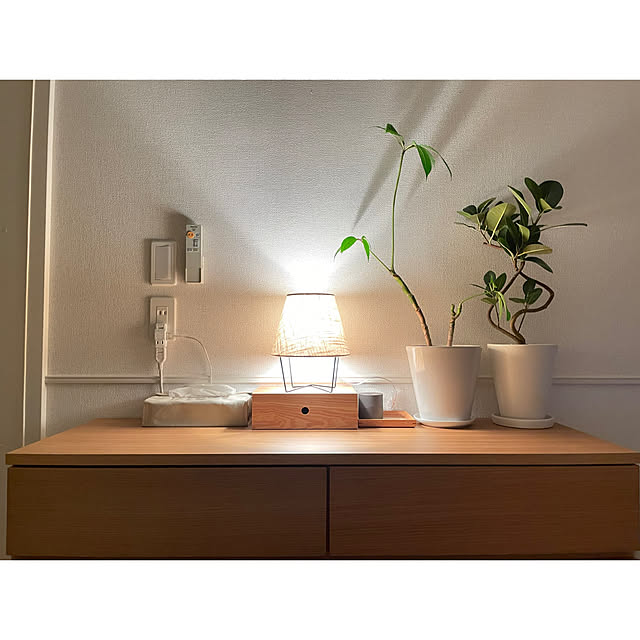 写真付きレビュー 選べる 観葉植物x選べる器 ガジュマルの木 サンスベリア シュガーバイン つる性ガジュマル おしゃれ 鉢 インテリア グリーン 観葉植物 ギフト 植物 誕生日 プレゼント 女性 男性 父 退職祝い 異動 卒業祝い 新築祝い 友人 引っ越し祝い お祝い 小さいの