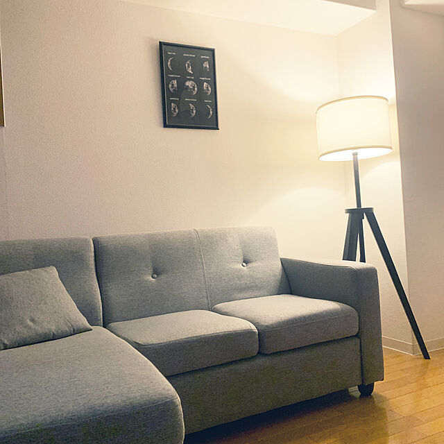 Hirokiのニトリ-布張りポケットコイルカウチソファ(パミュート GY) の家具・インテリア写真