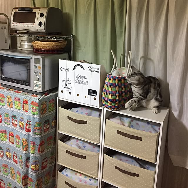 tanutanのアイリスオーヤマ-メタルミニレンジ台の家具・インテリア写真