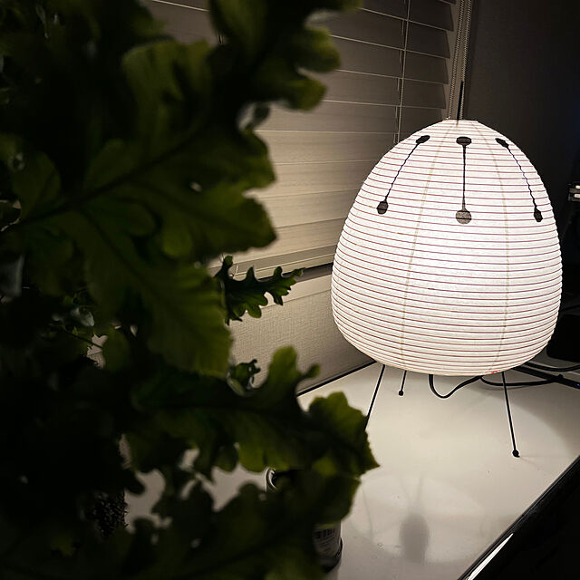 lismoの-イサムノグチ アカリ 1AD 和紙照明 AKARI（あかり）40W形相当 LED電球付きの家具・インテリア写真