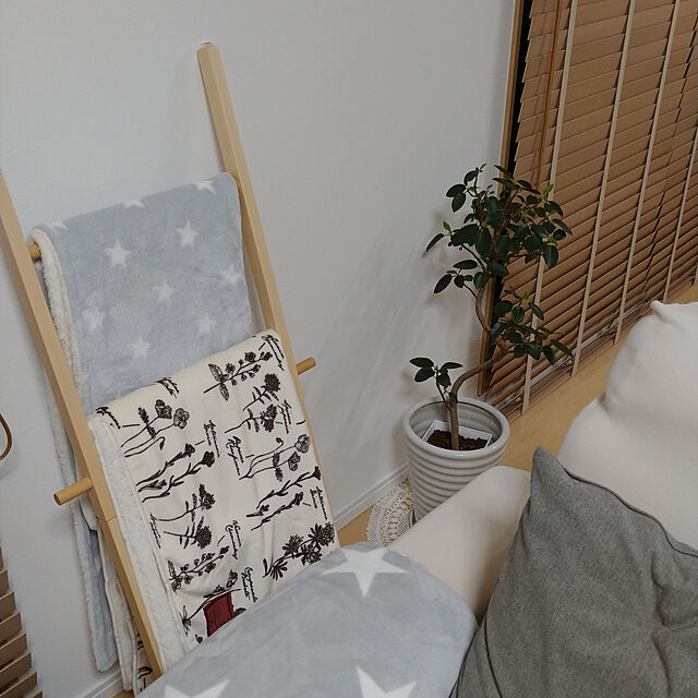 tokkoの-毛布 mofua プレミアムマイクロファイバー 星柄 グレー/ネイビー/ワインレッド シングル ニッセンの家具・インテリア写真