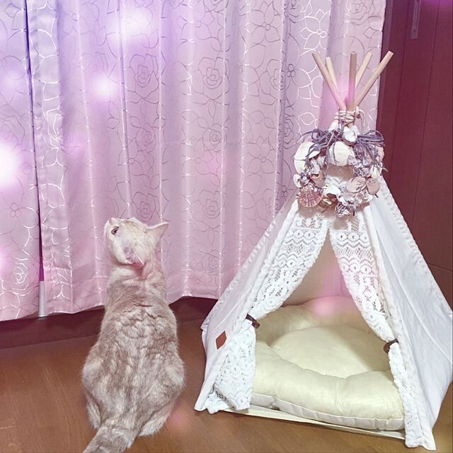 sirasu.nのスズ木-ペットテント 犬猫兼用 ファション 小屋 クッション別売り かわいい 屋内装飾 贈り物 (S, レース)の家具・インテリア写真