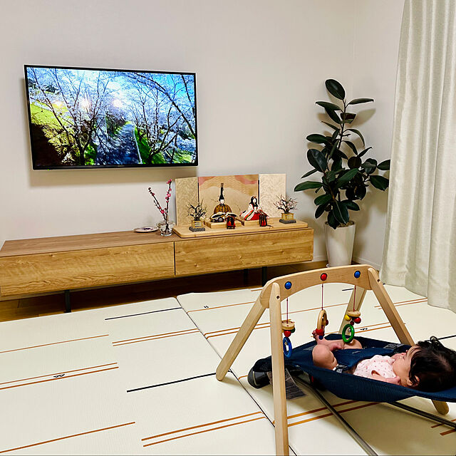 peshiのベビービョルン-ベビービョルン 【日本正規品保証付】バウンサーBliss Air アンスラサイト 1か月から 1個 (x 1)の家具・インテリア写真