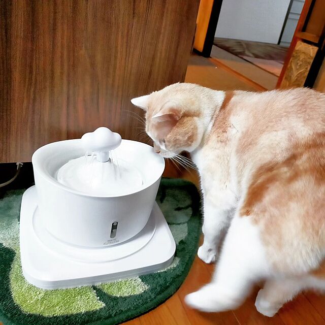 kobakissaの-【GEX】ピュアクリスタル Plusプラス レイン 猫 ねこ 浄水器 水分補給 給水器 食器 かわいい 可愛い 水飲み器 健康水 猫用 1.5L 2.5L ニャーロの家具・インテリア写真
