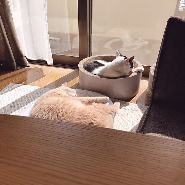 nicoの-ガリガリサークル インテリア 限定木目柄 猫用爪とぎ キャットスクラッチャーの家具・インテリア写真