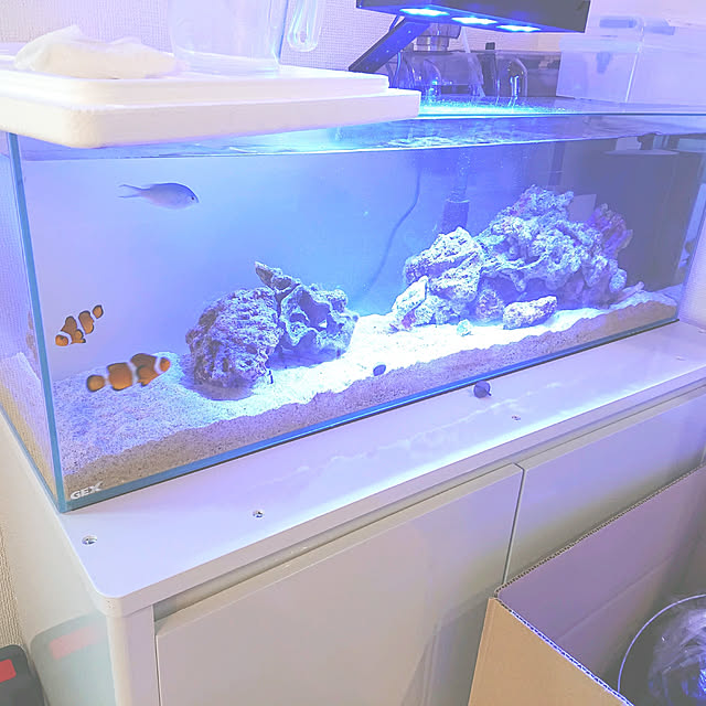 オプティマスリーフナノ2 サンゴ LED 海水魚