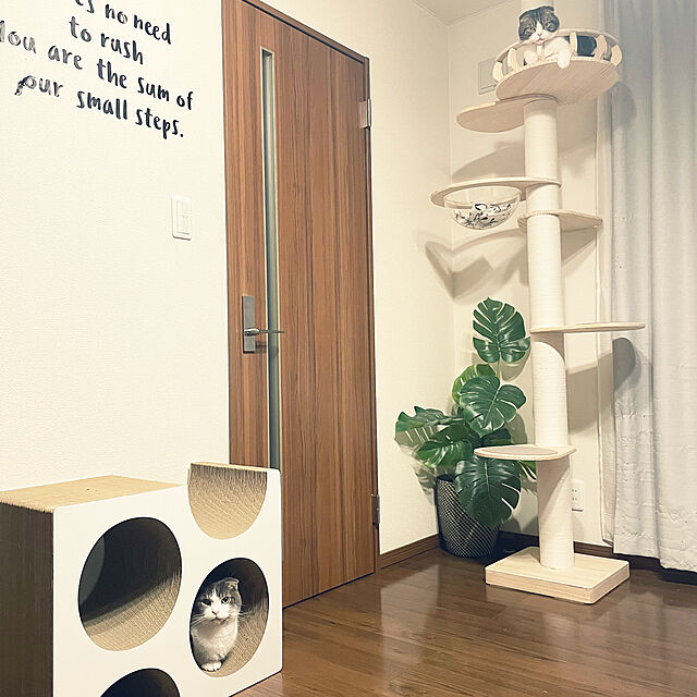 tansukeの-猫 爪とぎ ダンボール チーズ　　　日本製 ダンボール 段ボール 爪とぎ 爪磨き 爪みがき 猫用品 おしゃれ ユニーク かわいいの家具・インテリア写真
