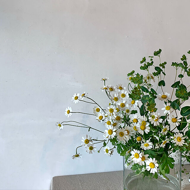 pyuzumutterのイケア-CYLINDER シリンデル 花瓶/ボウル3点セットの家具・インテリア写真