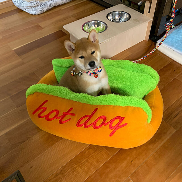 Sachiyoの-【 あす楽 】 犬 ベッド 冬 ホットドッグ Mサイズ ( 5650 ) 小型犬 【 hot dog bed 】 【 犬 用品 フリース地 ペット ソファ ベッド クッション 暖か 】 犬屋 【 ポンポリース 】 【 正規品 】の家具・インテリア写真