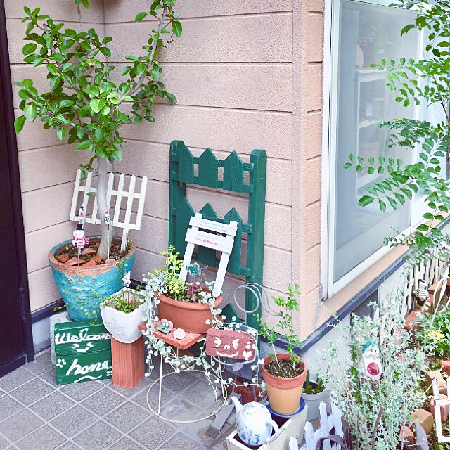 takakoの-草花の苗/ワイヤープランツ 3号ポット 4株セットの家具・インテリア写真