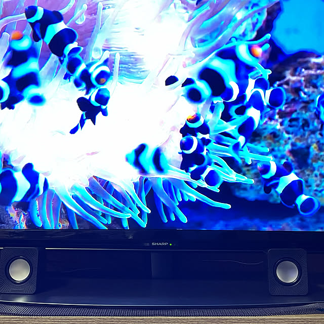 yuyuのSHARP-シャープ 40V型 液晶 テレビ AQUOS 4T-C40CL1 4K チューナー内蔵 Android TV Medalist S1 搭載 回転式スタンド 2020年モデルの家具・インテリア写真
