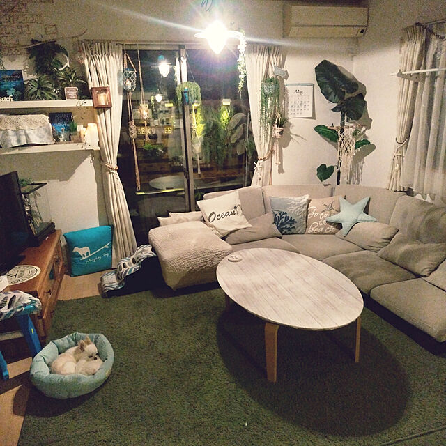 sachikoroのニトリ-スペースラグ(Nシャギー GR 185X185) の家具・インテリア写真